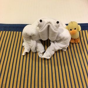 Meet your Posher, David